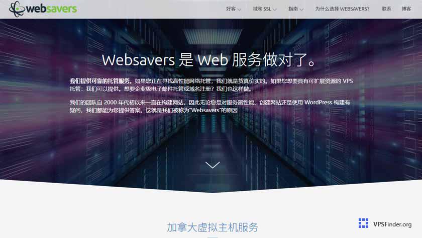 Websavers-Home-Preview-Image